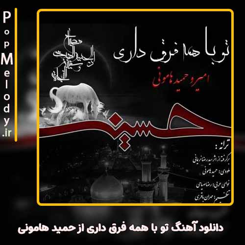 دانلود آهنگ امیر و حمید هامونی تو با همه فرق داری